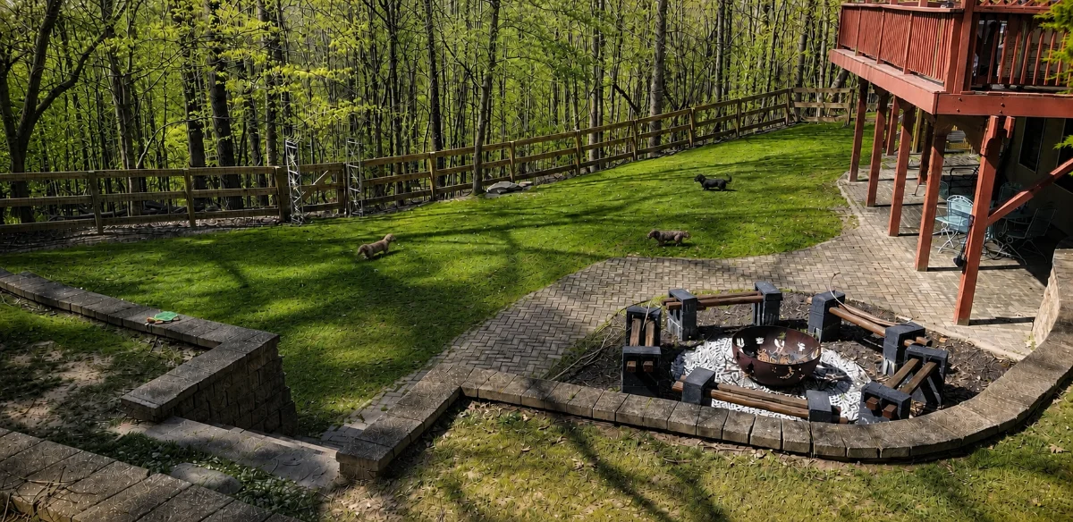 Dogs enjoying the fenced back yard and deck